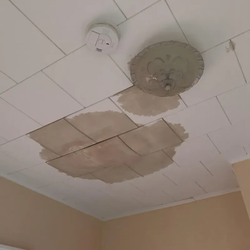 Ceiling Water Damage Repair in Norristown, PA