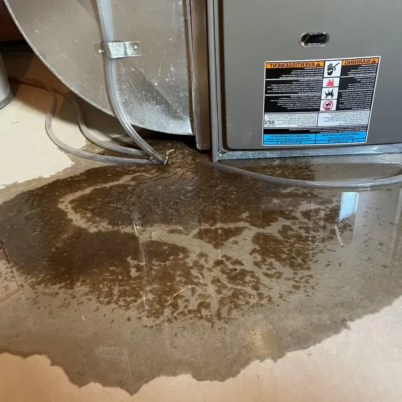 Pipe Burst and Leak Restoration in Norristown, PA